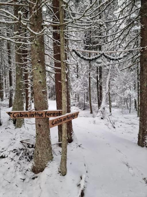 Treetop Ekne - Hytte I Skogen Med Hengebru Hotell Levanger Eksteriør bilde