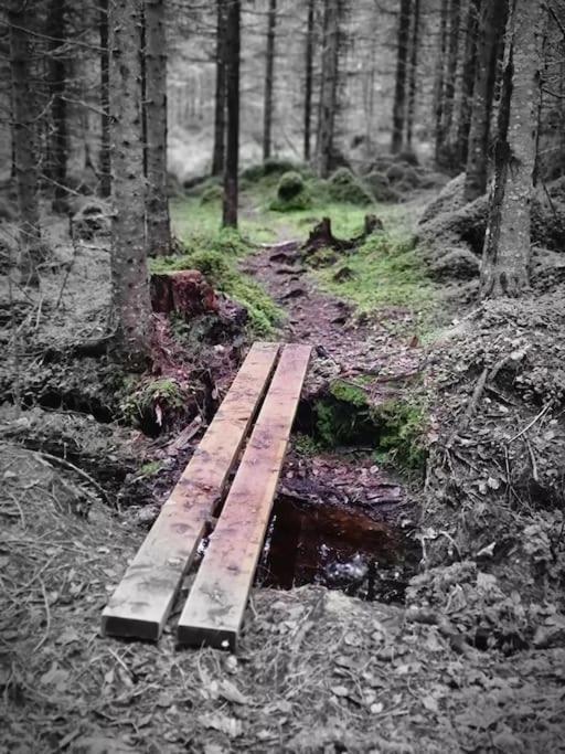 Treetop Ekne - Hytte I Skogen Med Hengebru Hotell Levanger Eksteriør bilde