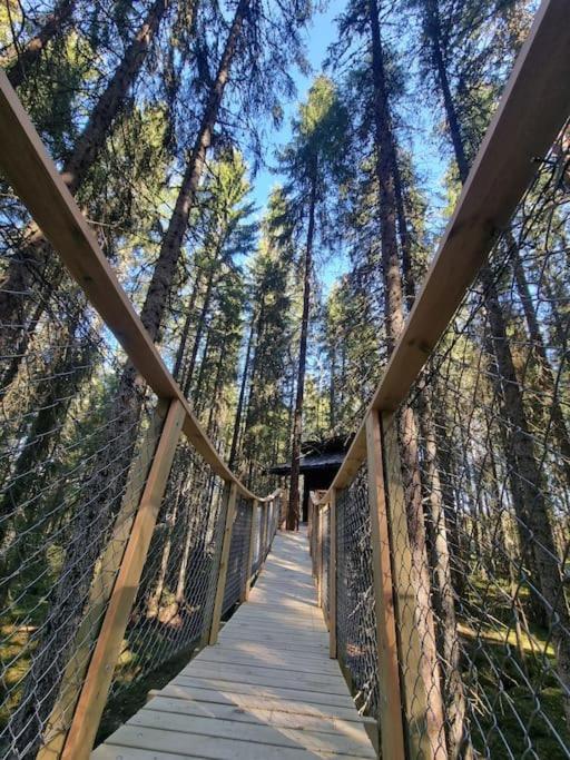 Treetop Ekne - Hytte I Skogen Med Hengebru Hotell Levanger Eksteriør bilde