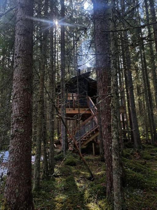 Treetop Ekne - Hytte I Skogen Med Hengebru Hotell Levanger Eksteriør bilde