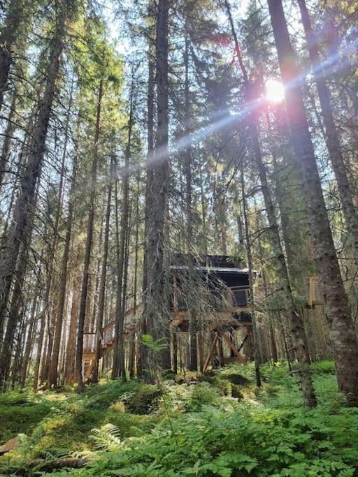 Treetop Ekne - Hytte I Skogen Med Hengebru Hotell Levanger Eksteriør bilde