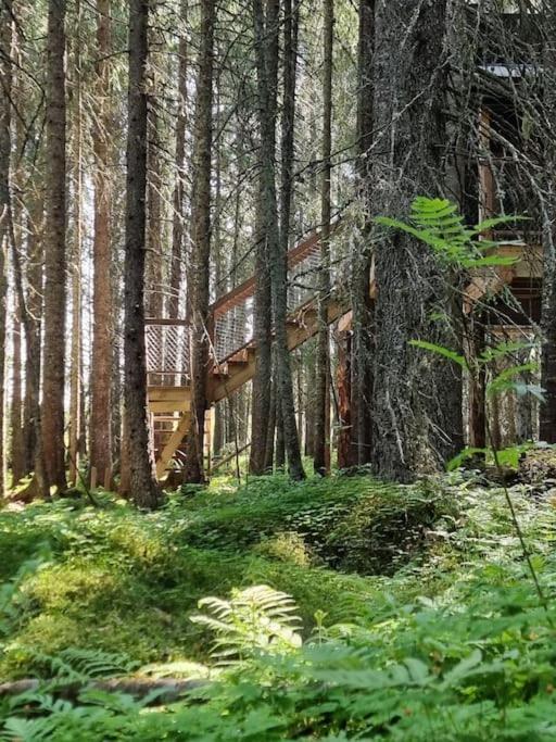 Treetop Ekne - Hytte I Skogen Med Hengebru Hotell Levanger Eksteriør bilde
